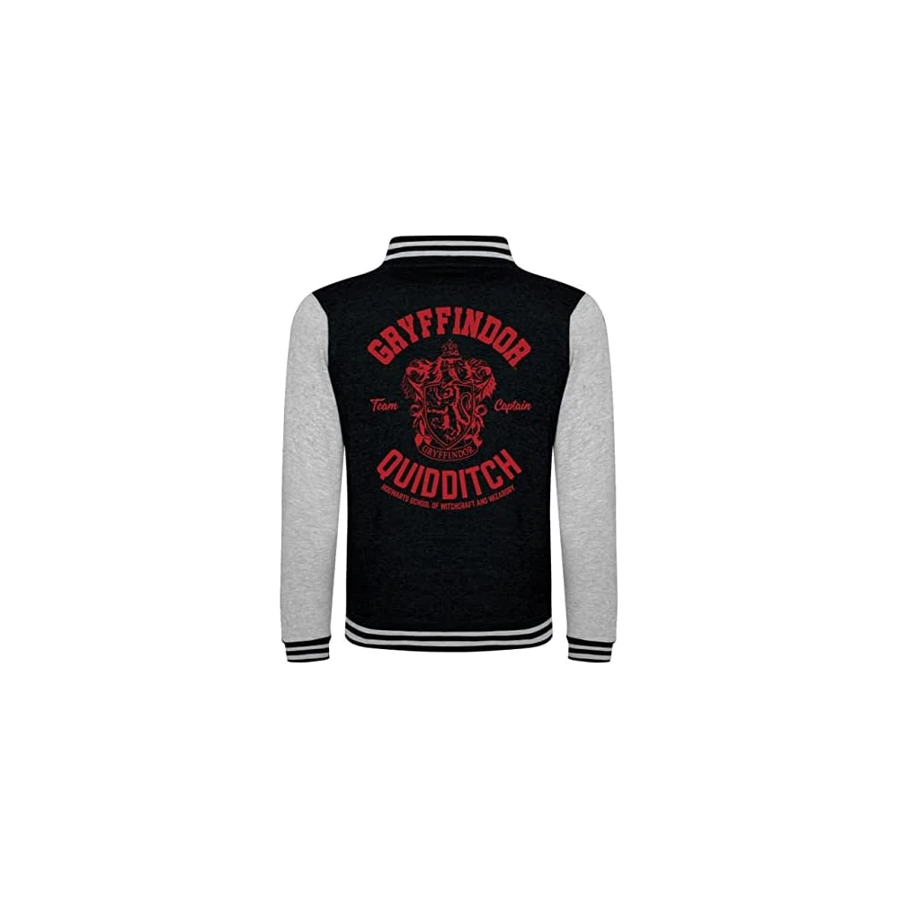 Harry Potter Hoodie - Gryffindor Team