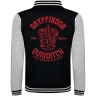 Harry Potter Hoodie - Gryffindor Team