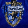 Mikinová deka Harry Potter - Bystrohlav