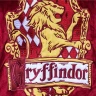 Harry Potter Kapuzen-Decke - Gryffindor