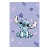 Lilo & Stitch Micro-flannel Blanket
