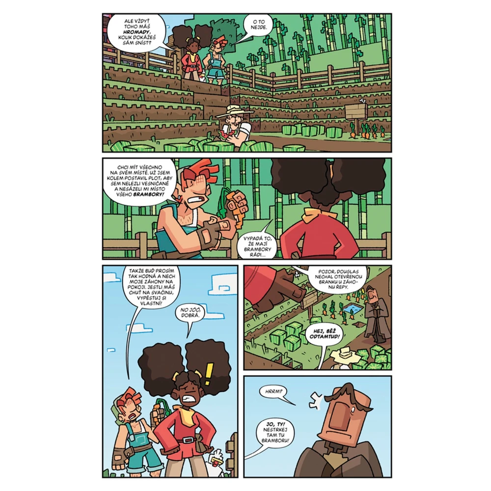 Minecraft komiks: Srdce z kamení 1