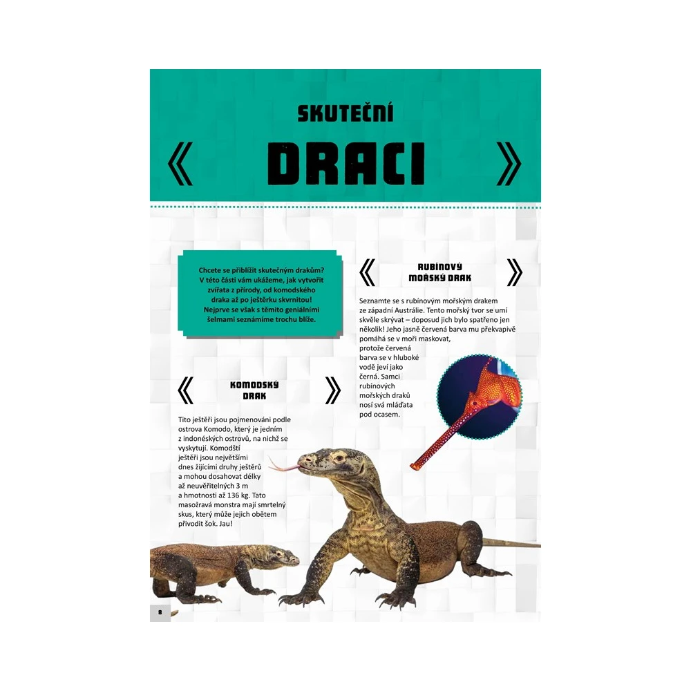 Minecraft - Mistr stavitel: Draci