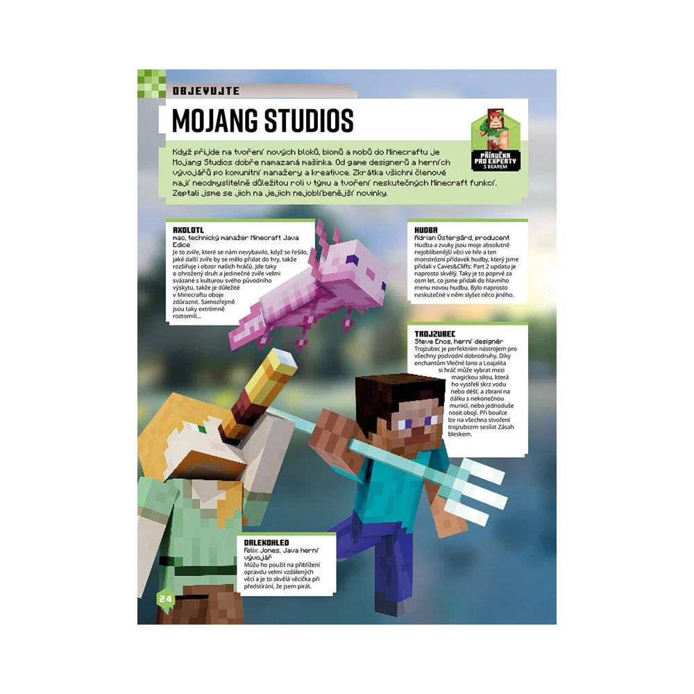 Minecraft - Nová knížka na celý rok