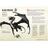 Dungeons & Dragons: Monsters and Creatures - A Young Adventurer’s Guides