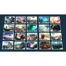 Multiuniversum