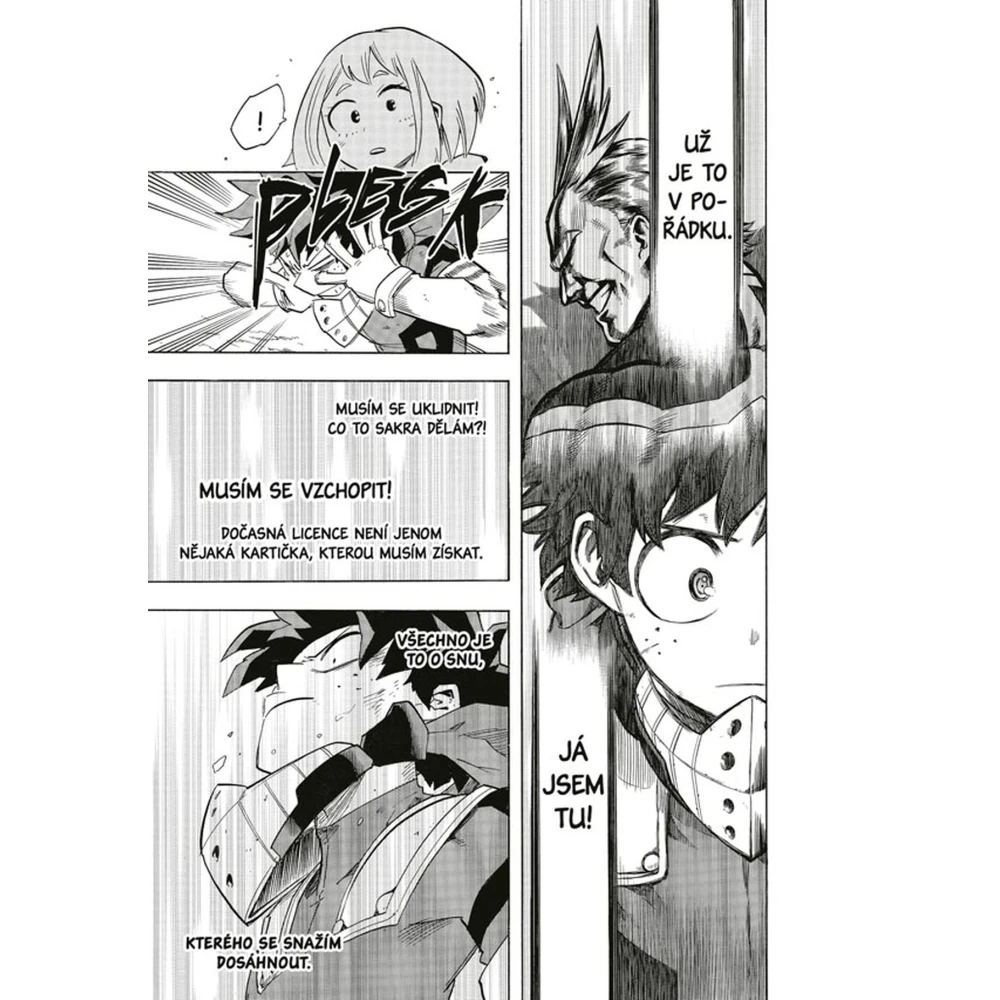 My Hero Academia - Moje hrdinská akademie 13