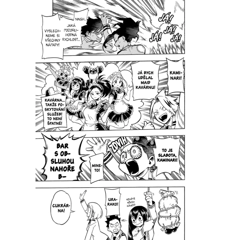 My Hero Academia - Moje hrdinská akademie 19