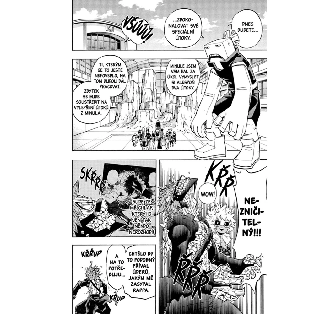 My Hero Academia - Moje hrdinská akademie 19