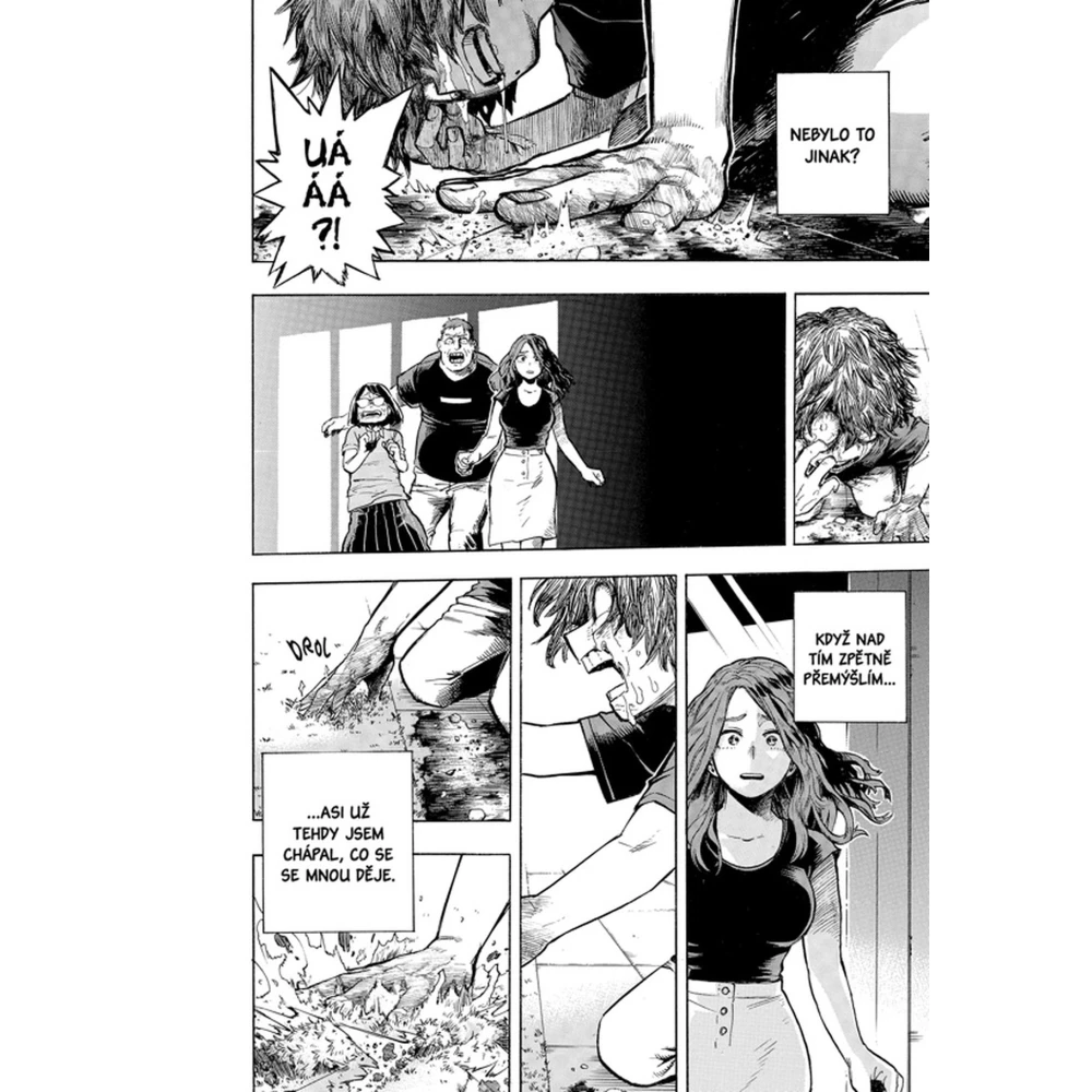 My Hero Academia - Moje hrdinská akademie 25: Tomura Šigaraki: Počátek