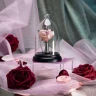 Love Potion Necklace