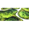 Neoprene 2D terrain set - Forrest