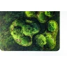 Neoprene 2D terrain set - Forrest