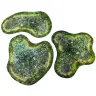 Neoprene 2D terrain set - Swamp