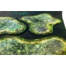 Neoprene 2D terrain set - Swamp