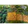Neoprene 2D terrain set - Tournament: Saga