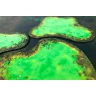 Neoprene 2D terrain set - Toxic Pond
