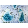 Neoprene 2D terrain set - Winter pond