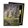 Dragon Shield Card Sleeves 63 x 88 mm - Magic: The Gathering - Verdant Catacomb, Dual Matte