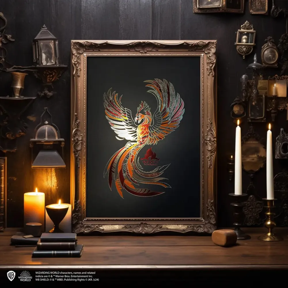 Harry Potter Print - Order of the Phoenix