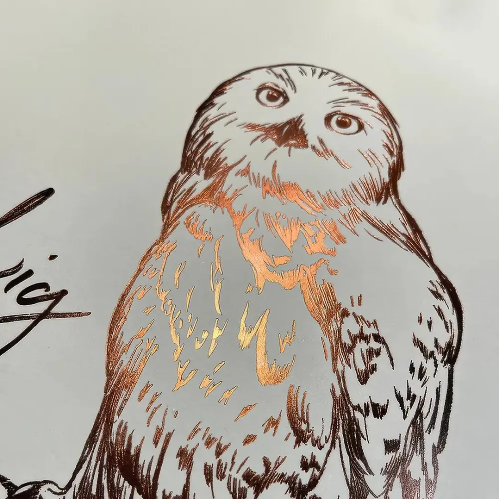 Harry Potter Picture - Hedwig