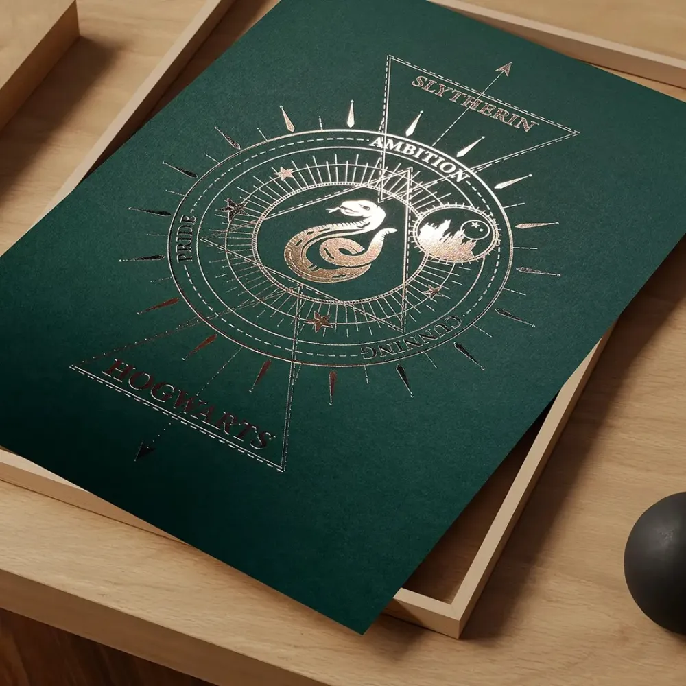 Harry Potter Picture - Slytherin