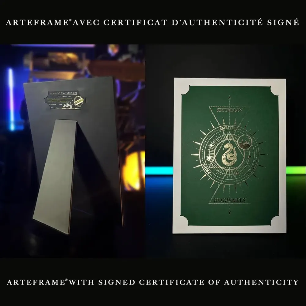 Harry Potter Picture - Slytherin