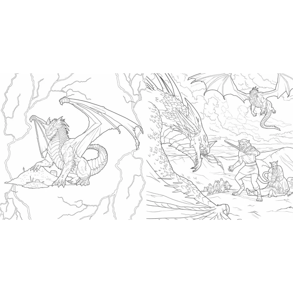 Dungeons & Dragons Malbuch: Dragons of the Realms