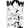One Piece 17: Hirilukovy sakury