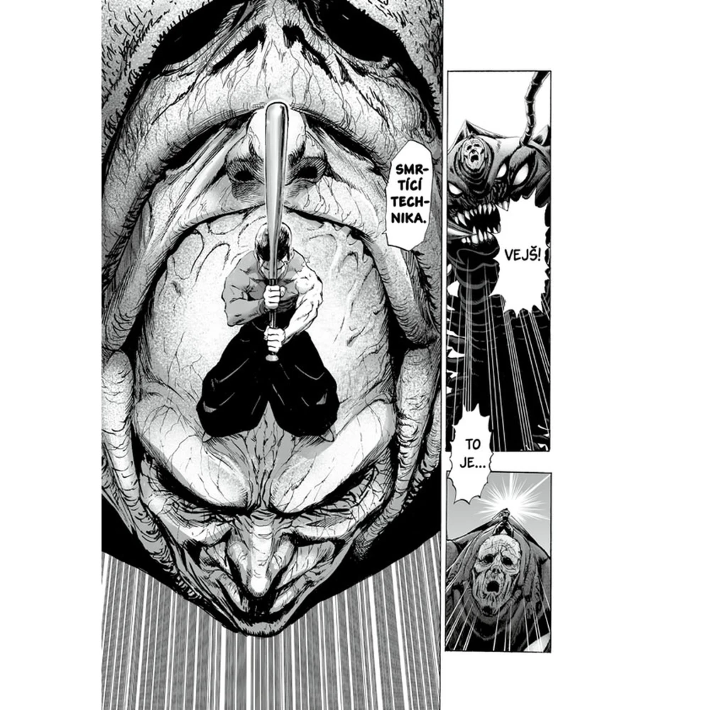 One-Punch Man 11: Hmyzí velepříšera