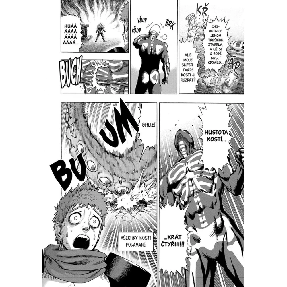 One-Punch Man 13: Příšerné buňky