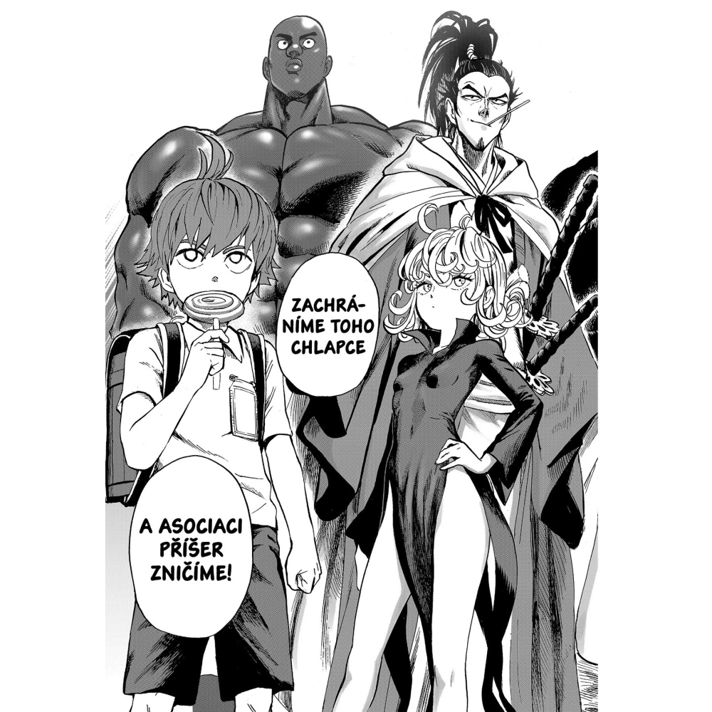 One-Punch Man 19: Zmizelý zelí