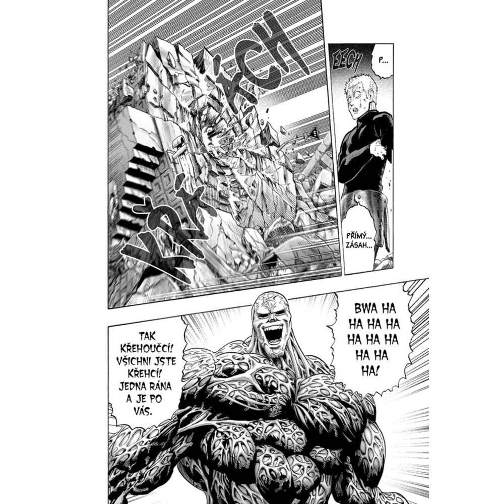 One-Punch Man 7: Boj
