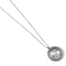 Harry Potter Locket Necklace