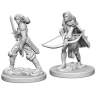 Pathfinder Battles: Deep Cuts Miniatures - Human Female Fighters