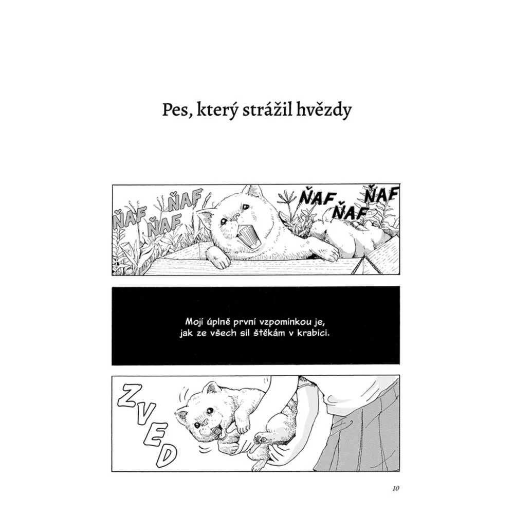 Pes, který strážil hvězdy