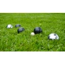 Petanque (6 balls)