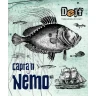 Pivo Dejf Captain Nemo IPA