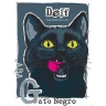 Pivo Dejf GatoNegro Black Ale