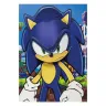 3D Poster - Sonic the Hedgehog