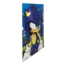 3D Poster - Sonic the Hedgehog