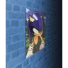 3D Poster - Sonic the Hedgehog