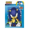 3D Poster - Sonic the Hedgehog