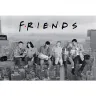 Friends Poster - Skyscraper