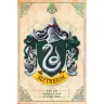 Harry Potter Poster - Slytherin