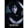 Wednesday Poster - Goo Goo Muck