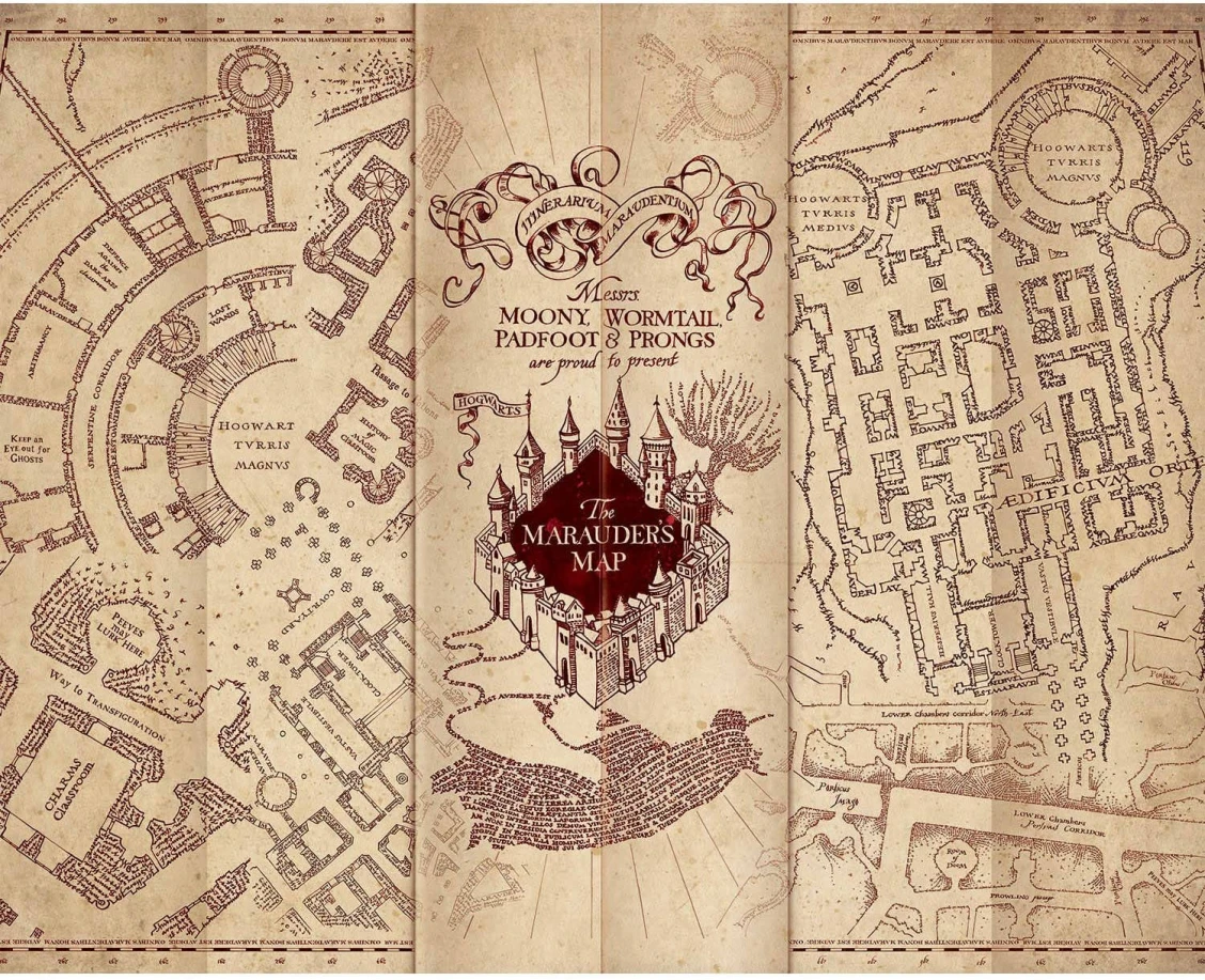 Harry Potter: A&nbsp;Guide to the Series and How to Read and Watch It in Order