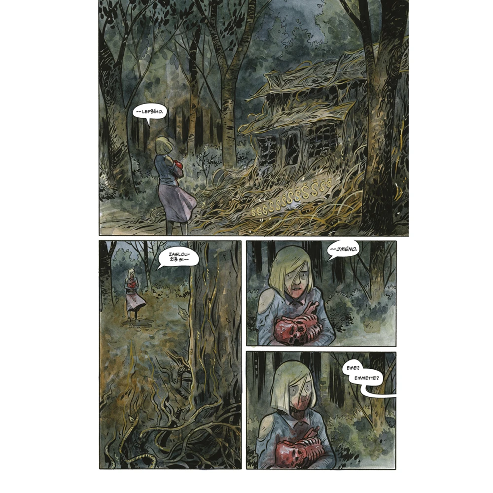 Pochmurný kraj 8: Nenávratno