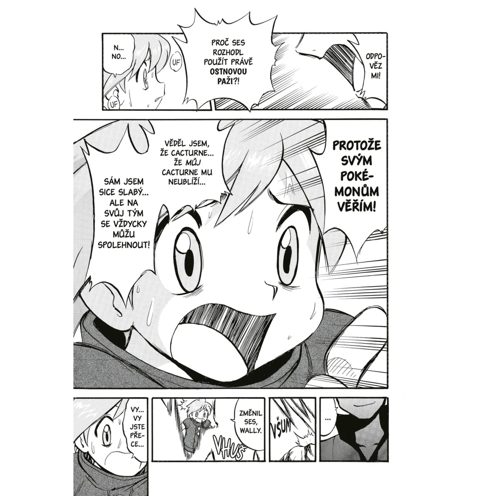 Pokémon 20 (Ruby a Sapphire)