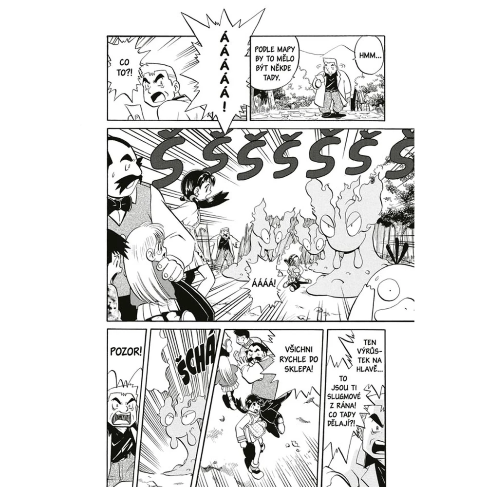 Pokémon: Gold a Silver 10